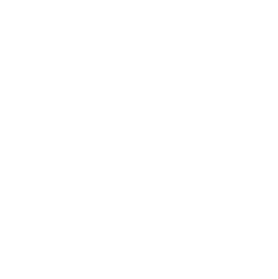 Sidley Austin Logo