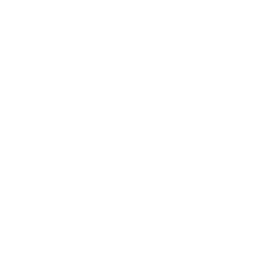 Signature Aviation Logo