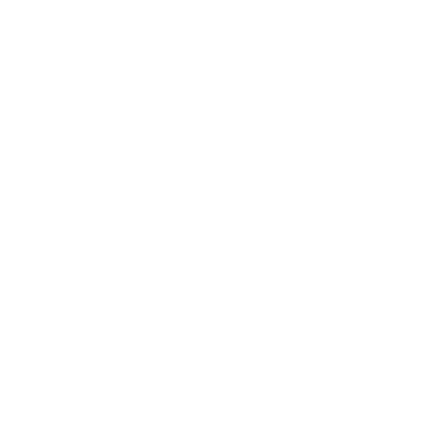 Wright Flood Logo White